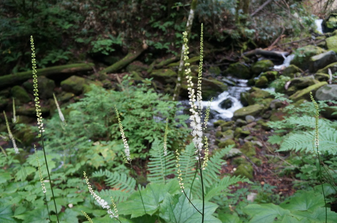 e0241093_162602.jpg