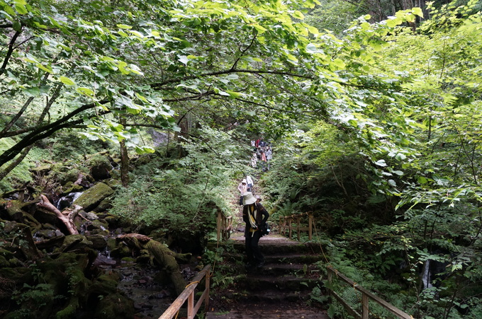 e0241093_16272689.jpg