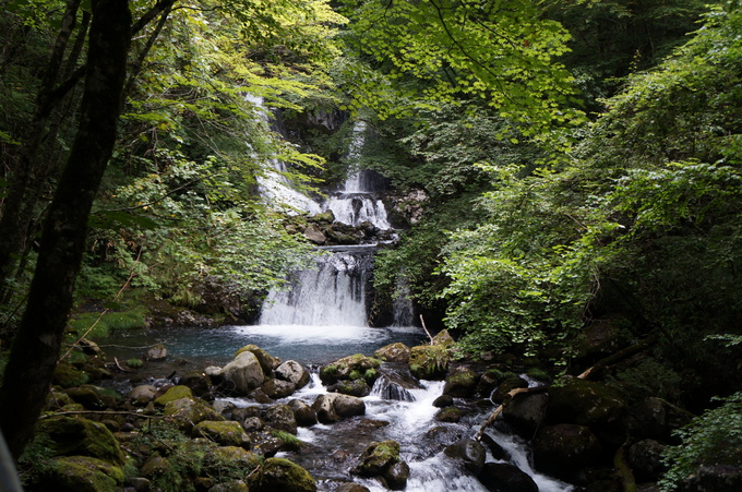 e0241093_1732639.jpg