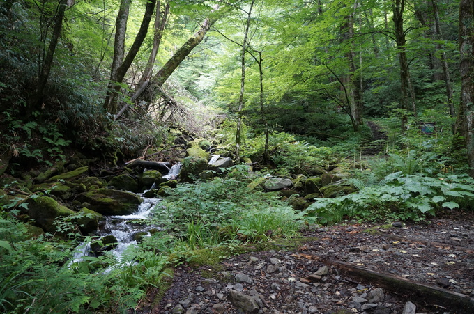 e0241093_173416.jpg