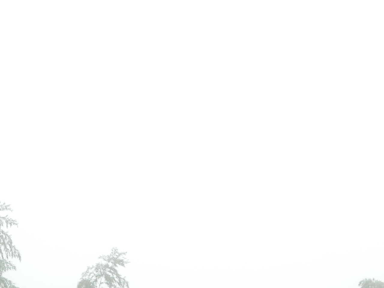 f0181793_11194337.jpg