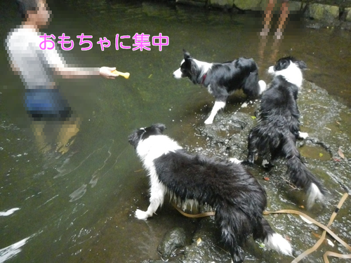 a0232619_194539.png