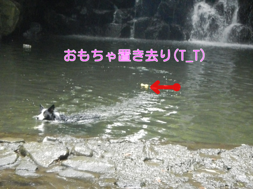 a0232619_1993842.png