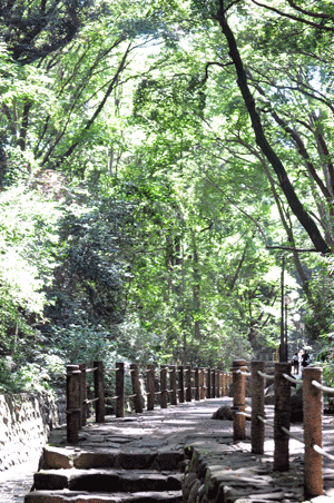 e0312121_183308.gif
