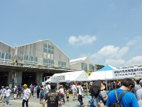 d0006323_17182079.jpg