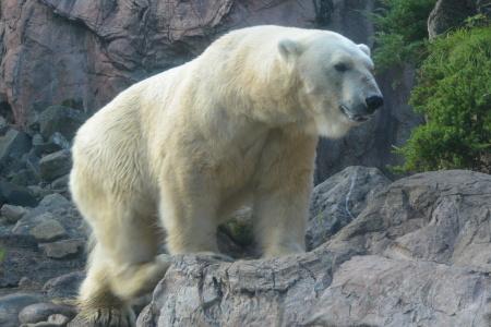 f0344626_23480857.jpg