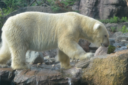f0344626_23481604.jpg