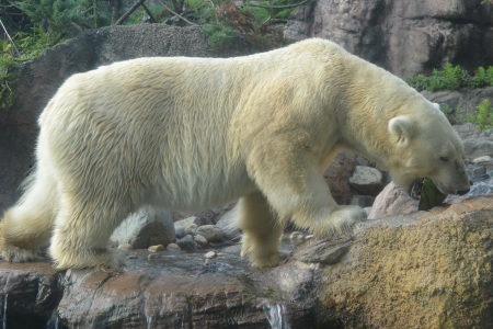 f0344626_23482202.jpg