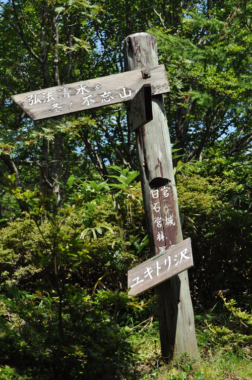 a0248728_10111374.jpg