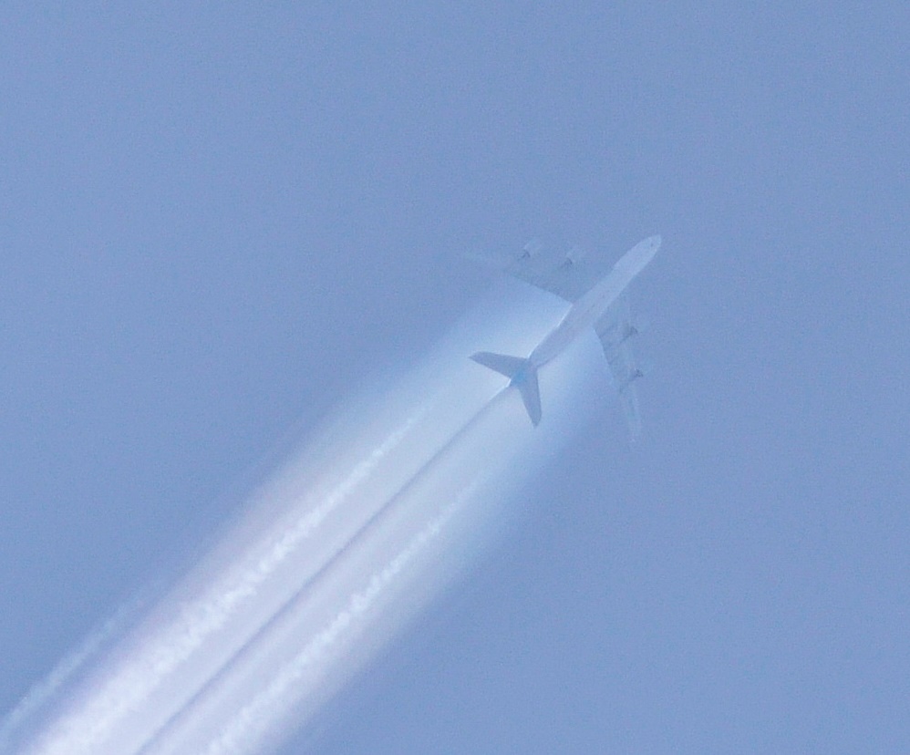 a0248728_1013948.jpg