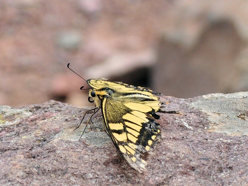 a0248728_20505723.jpg