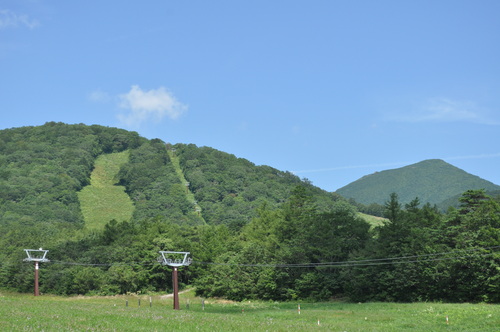 a0248728_9591520.jpg