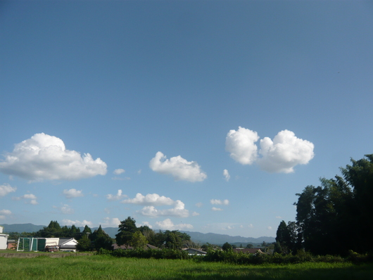 a0206332_9215629.jpg
