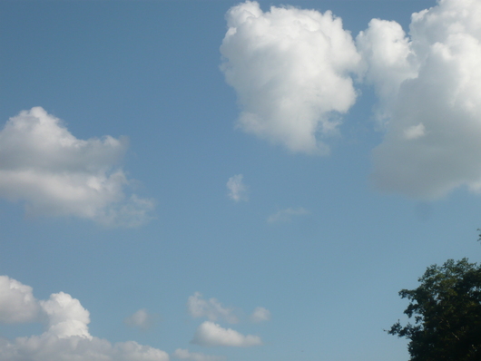 a0206332_9261112.jpg