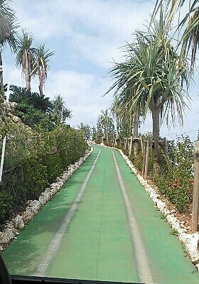 a0167335_1422393.jpg