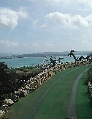 a0167335_1425634.jpg