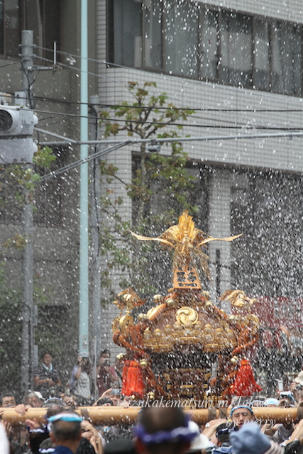 a0207736_17125123.jpg