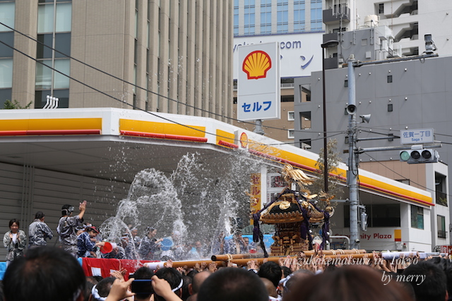a0207736_1715753.jpg