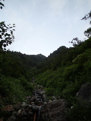 d0107938_1394396.jpg