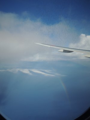 d0142944_0462514.jpg