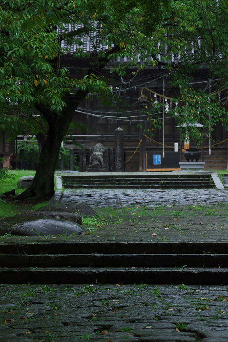 c0180845_031045.jpg