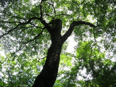 d0048750_8261420.jpg