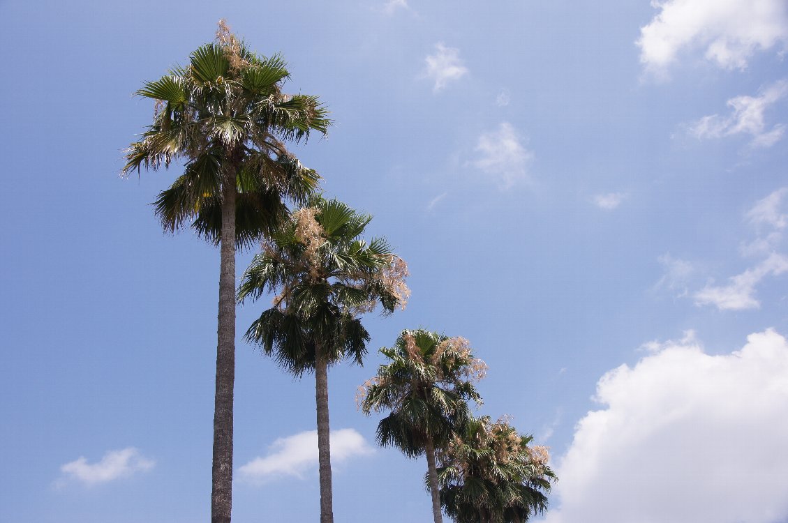 d0048750_8262140.jpg