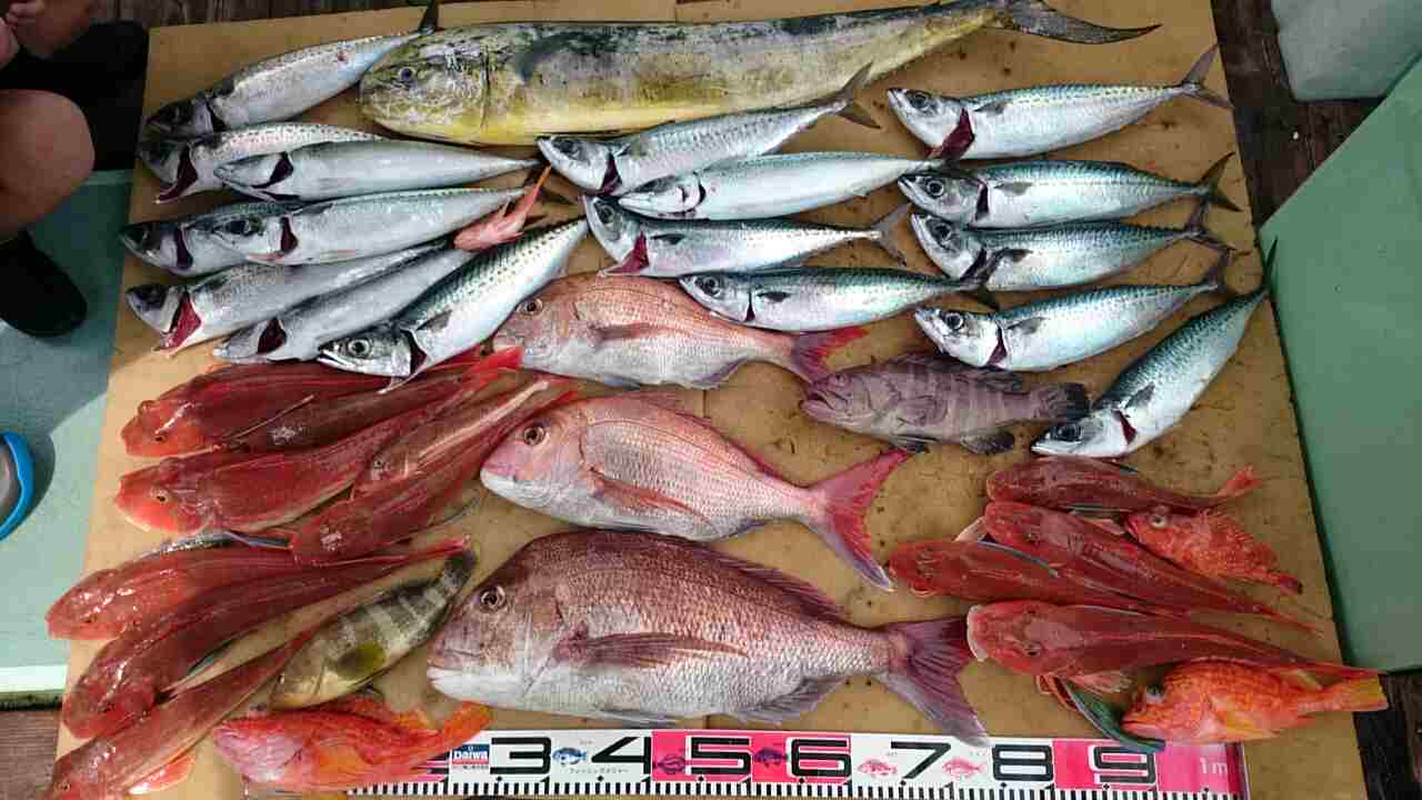 a0248152_17422835.jpg