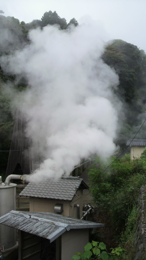 c0206352_2364250.jpg