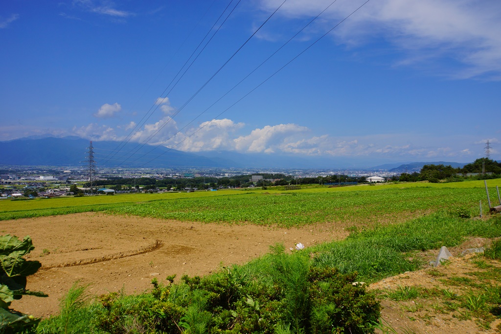 e0223456_9194747.jpg