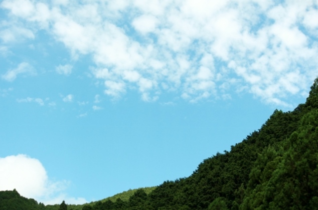 a0216469_13363410.jpg