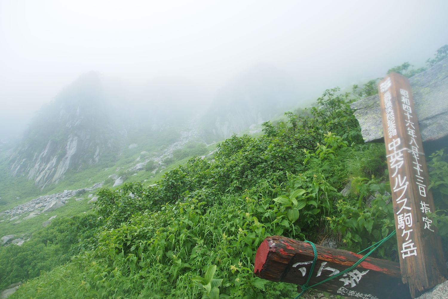 e0307372_21221554.jpg