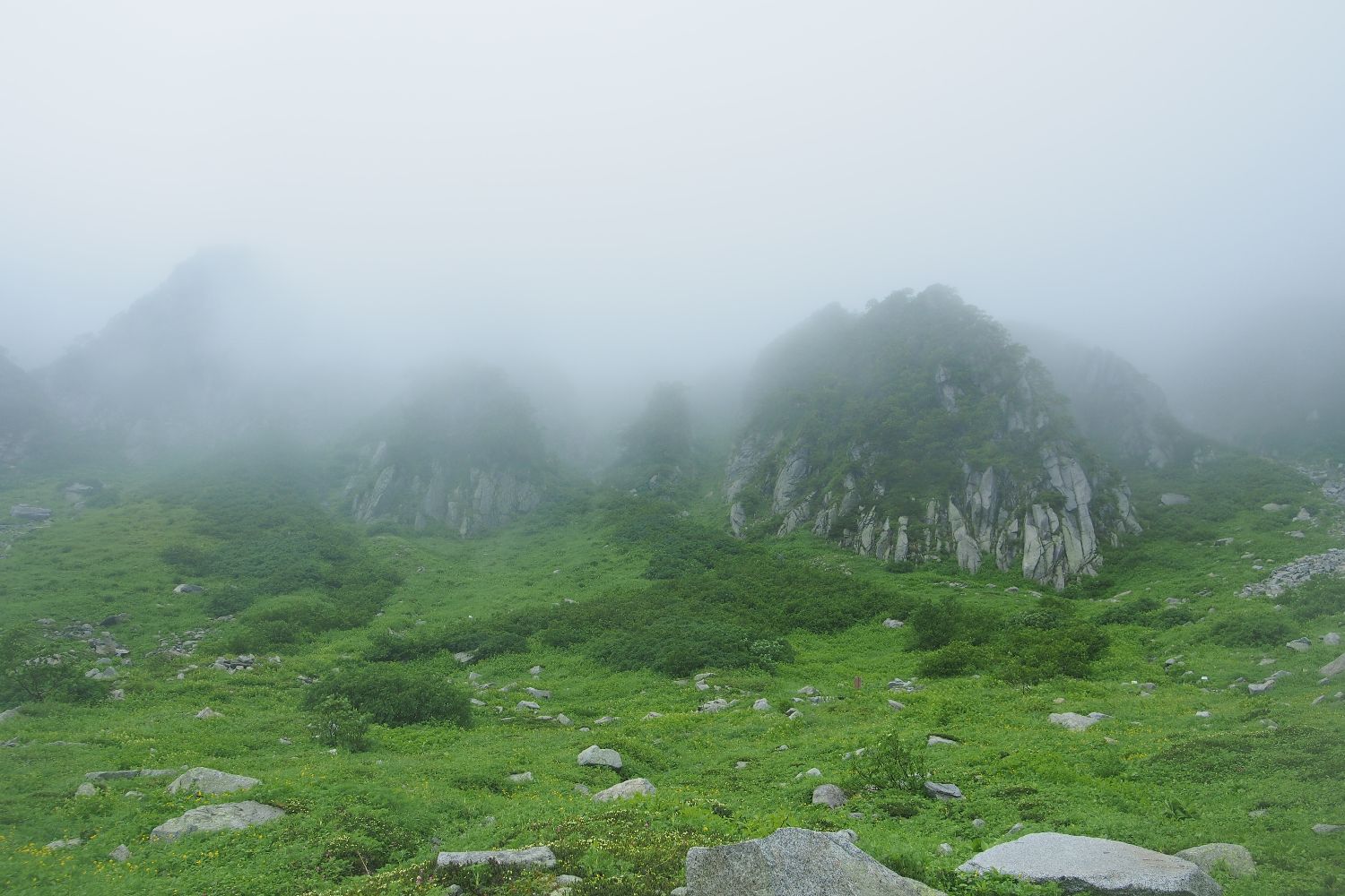 e0307372_21232062.jpg