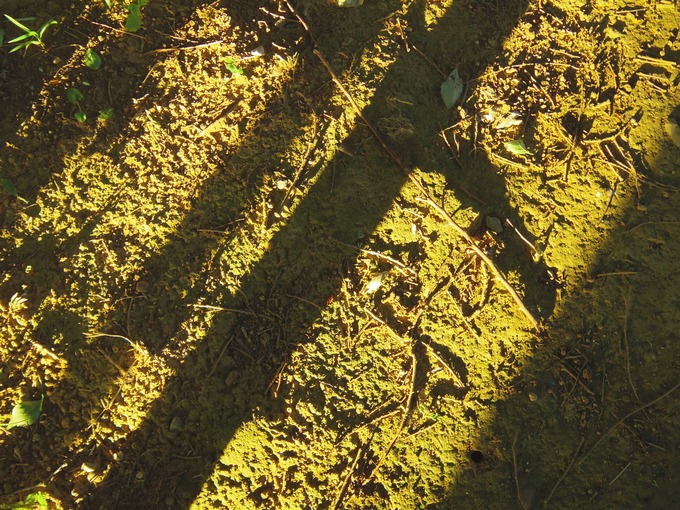 a0152078_825671.jpg