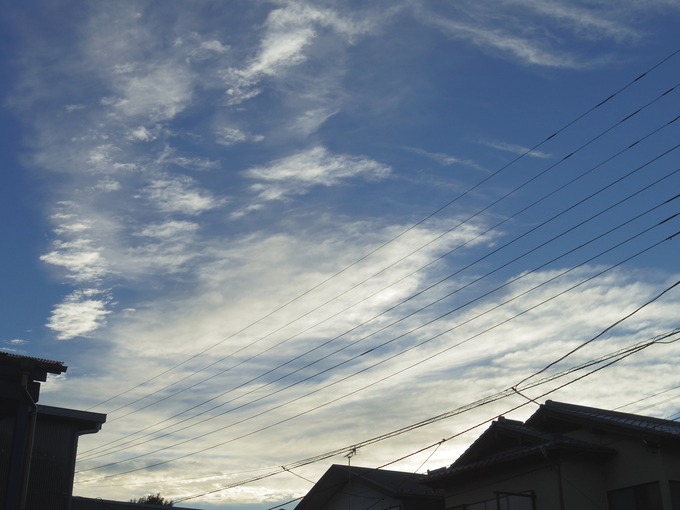 a0152078_8332939.jpg