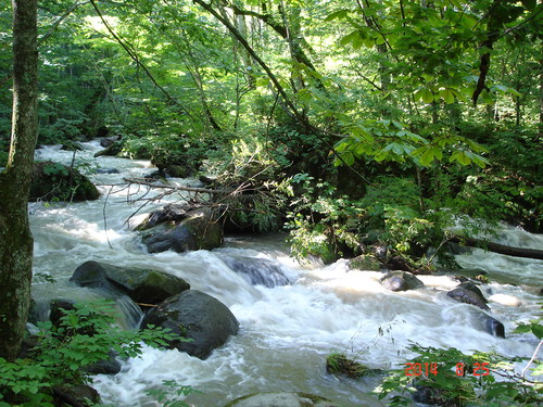 d0165378_19321751.jpg