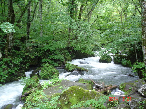 d0165378_19374630.jpg