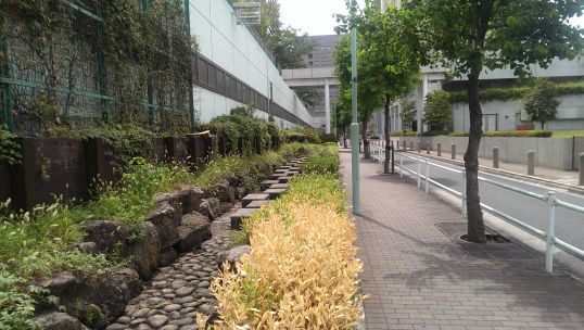 e0020682_1720436.jpg