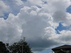 e0130185_12172523.jpg