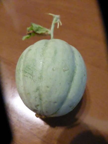 b0289696_11304555.jpg