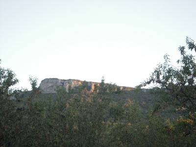 e0206902_4395281.jpg