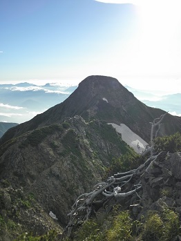d0032405_21311458.jpg