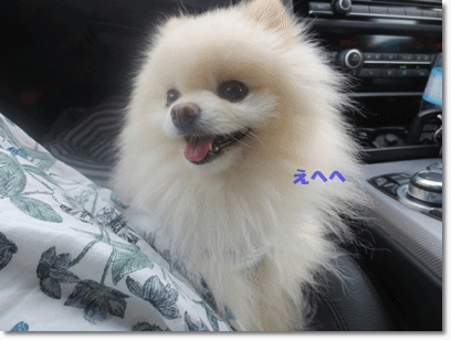 b0167519_21444632.gif