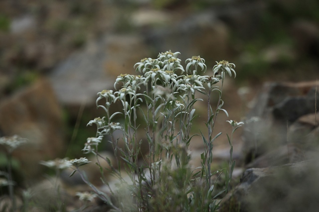 e0242721_17112564.jpg