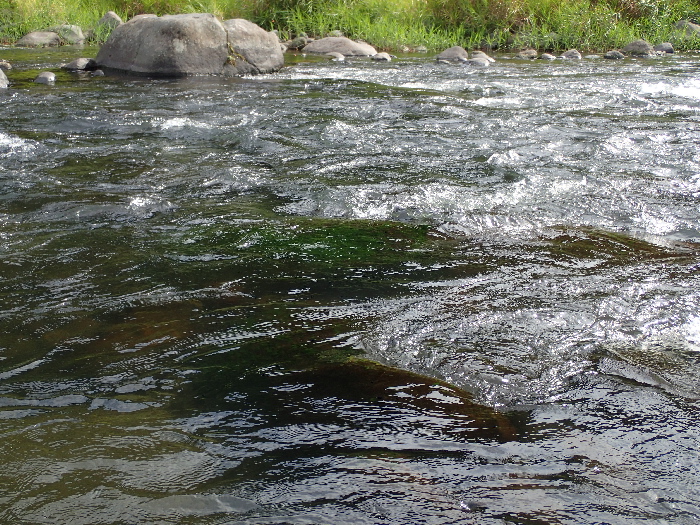 f0103126_21401459.jpg