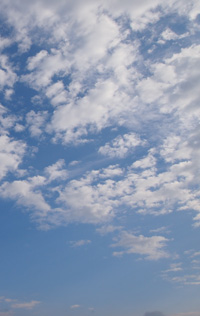 c0188928_20495546.jpg
