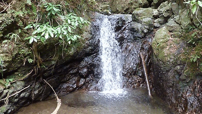 e0033229_1823434.gif