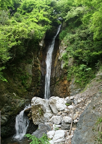 e0033229_21282619.jpg