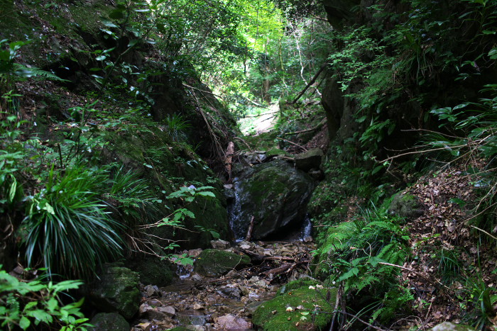 c0189533_22433374.jpg