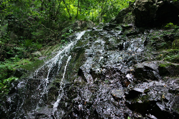 c0189533_22444394.jpg
